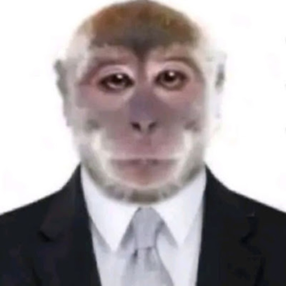 Meet your Posher, Avottic - Picture 1 of 1